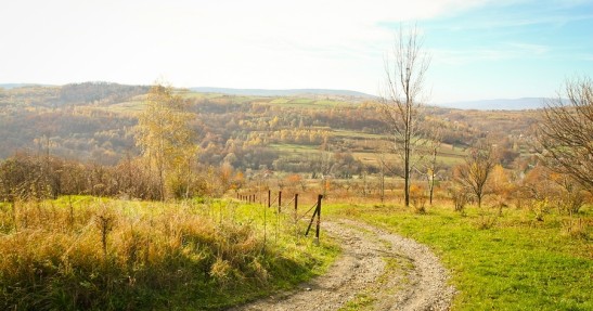Rajd Żubrów 2013